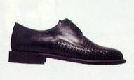 Van Lier